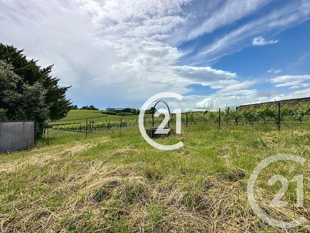 maison à vendre - 5 pièces - 140.0 m2 - BOUTIERS ST TROJAN - 16 - POITOU-CHARENTES - Century 21 Xso Immobilier