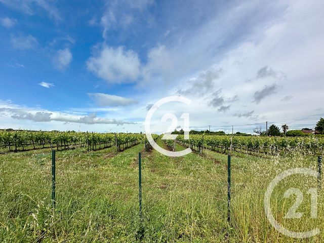 maison à vendre - 5 pièces - 140.0 m2 - BOUTIERS ST TROJAN - 16 - POITOU-CHARENTES - Century 21 Xso Immobilier