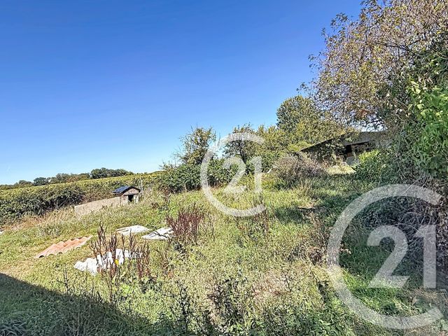 maison à vendre - 4 pièces - 86.0 m2 - ST SULPICE DE COGNAC - 16 - POITOU-CHARENTES - Century 21 Xso Immobilier